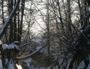 Rajd Zimowy - Styczen 2010