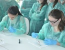 Lekcja w Laboratorium Serologii w DSK