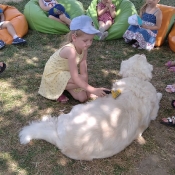 Spotkanie Pszczółek z Bajką_14