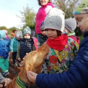 Vega - czworonożny przyjaciel Julii z wizytą u przedszkolaków_12