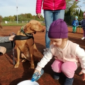 Vega - czworonożny przyjaciel Julii z wizytą u przedszkolaków_18