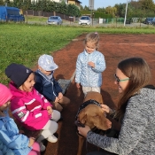 Vega - czworonożny przyjaciel Julii z wizytą u przedszkolaków_22