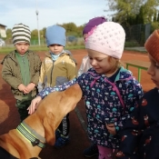 Vega - czworonożny przyjaciel Julii z wizytą u przedszkolaków_3